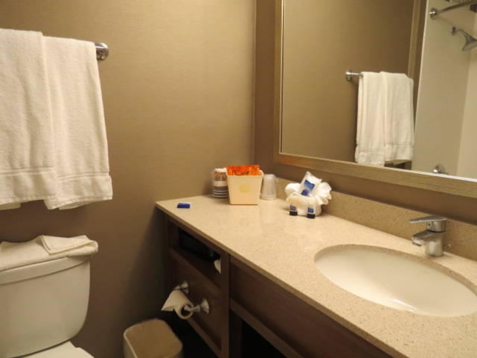 Bad Best Western Hotel Grant Park