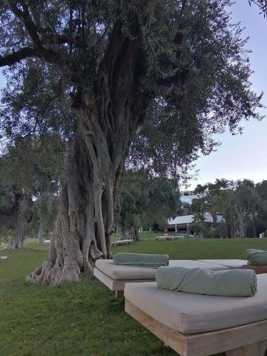 Gartenanlage Rixos Premium Bodrum