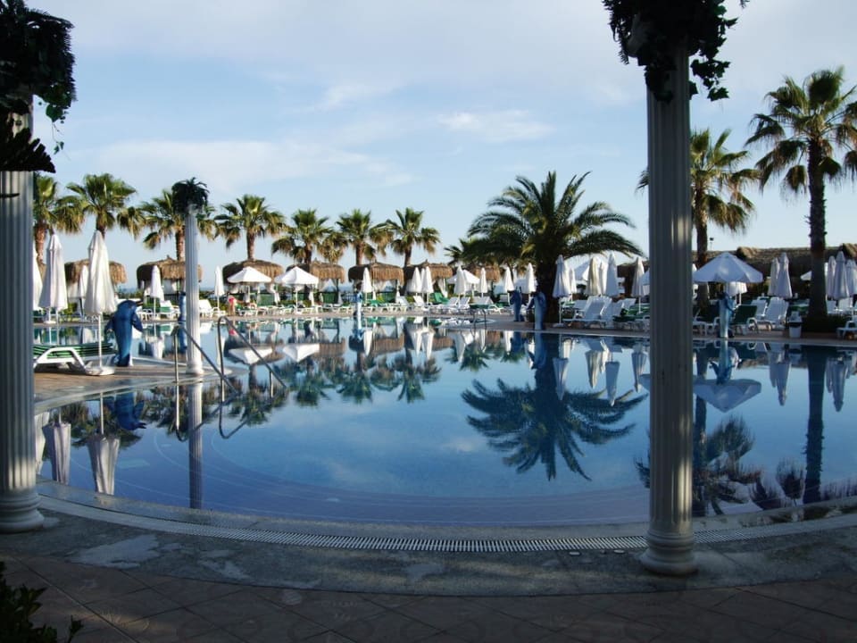Ruhepool am Morgen Botanik Hotel & Resort