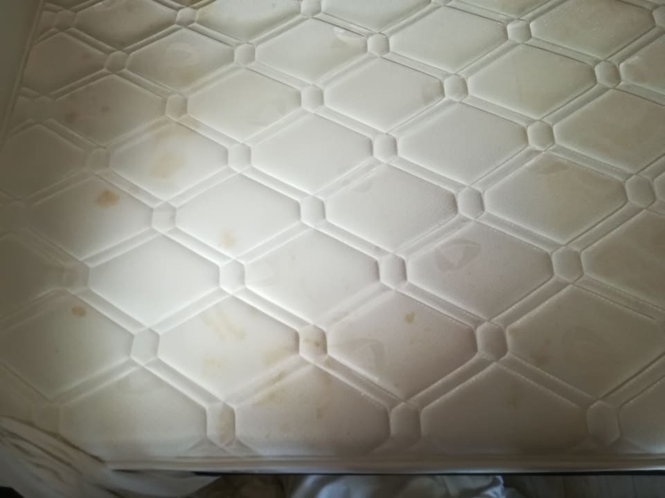 Zimmer allsun Hotel Illot Park