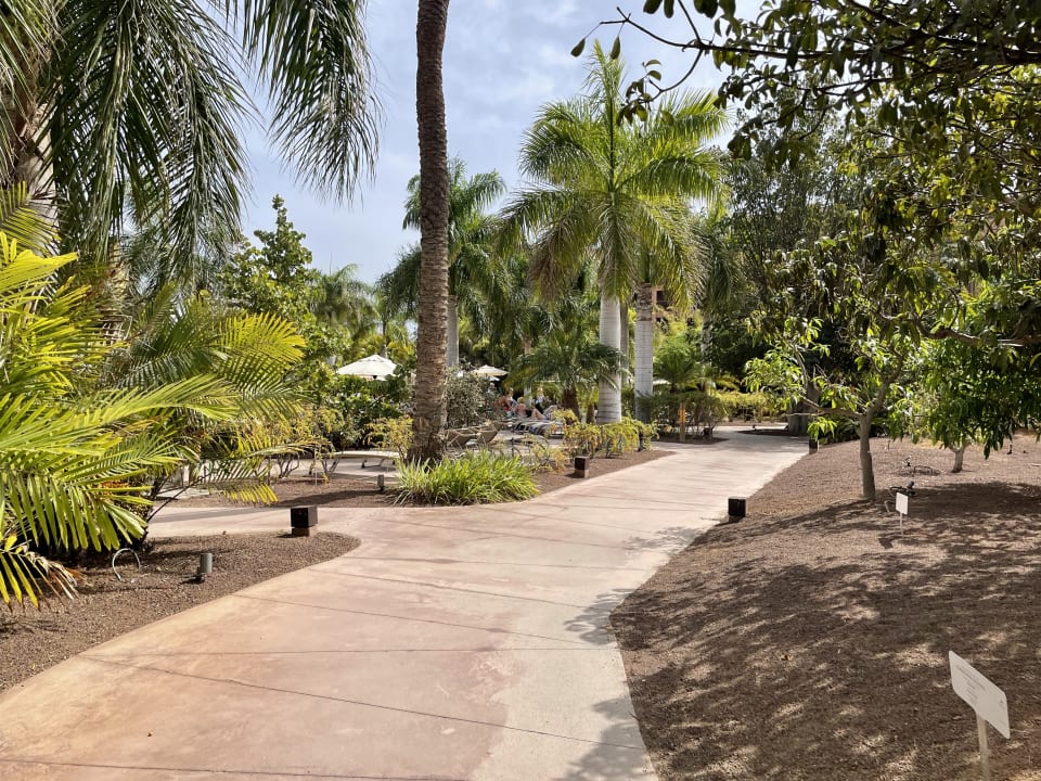 Gartenanlage Lopesan Baobab Resort