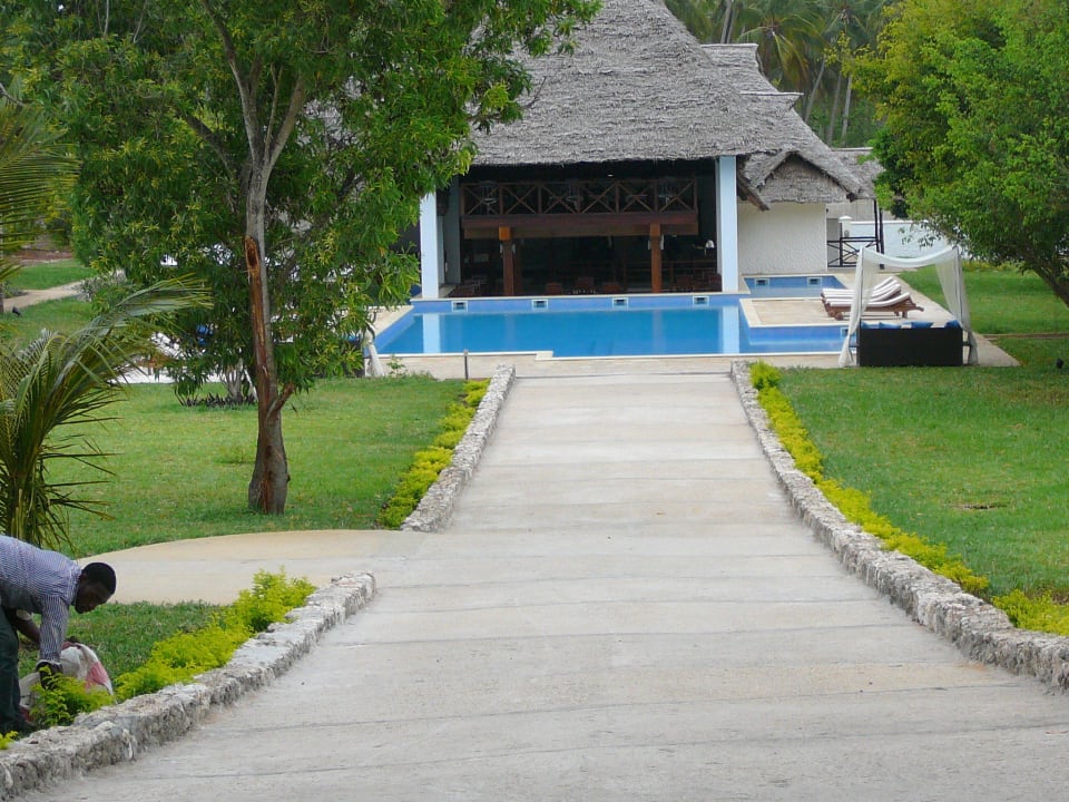Im Gartenbereich vor dem Restaurant Karafuu Beach Resort & Spa