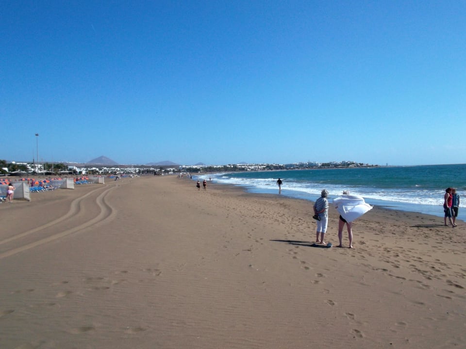 Strand  Relaxia Olivina