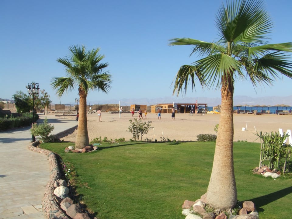Plaża i boisko do siatkówki Hotel Swiss Inn Dream Resort Taba