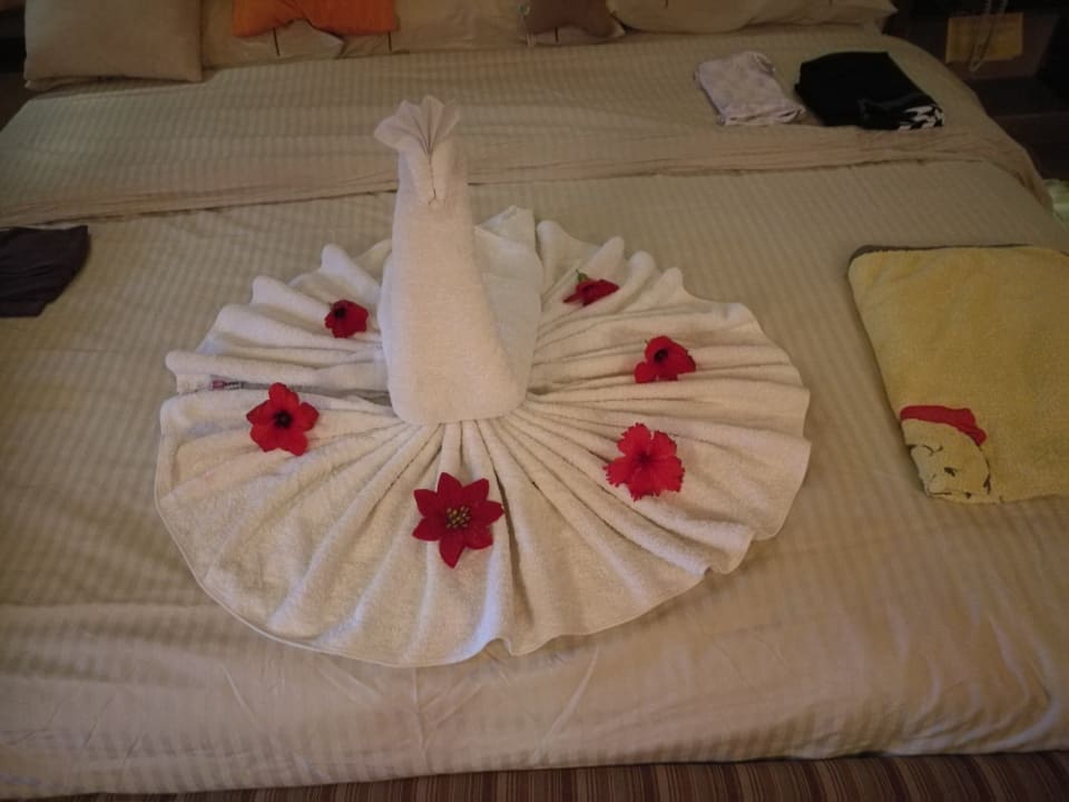 Zimmer Grand Waterworld Makadi & Family Star Makadi