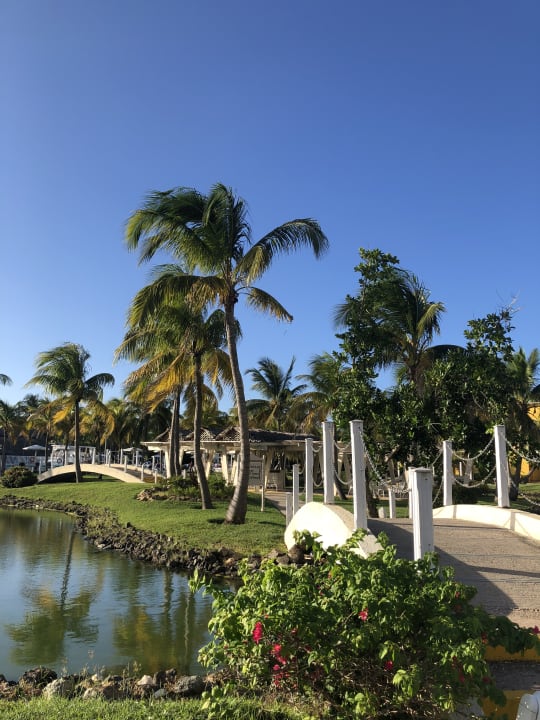Gartenanlage Melia Las Antillas - Adults only
