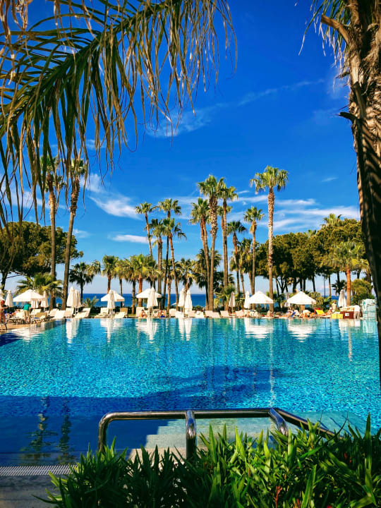 Pool Acanthus Cennet Barut Collection