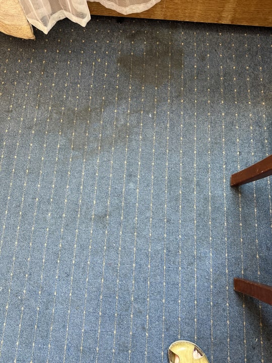 Zimmer Hotel Spreewitz am Kurfürstendamm