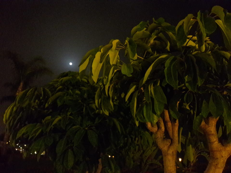 Gartenanlage Club Monte Anfi