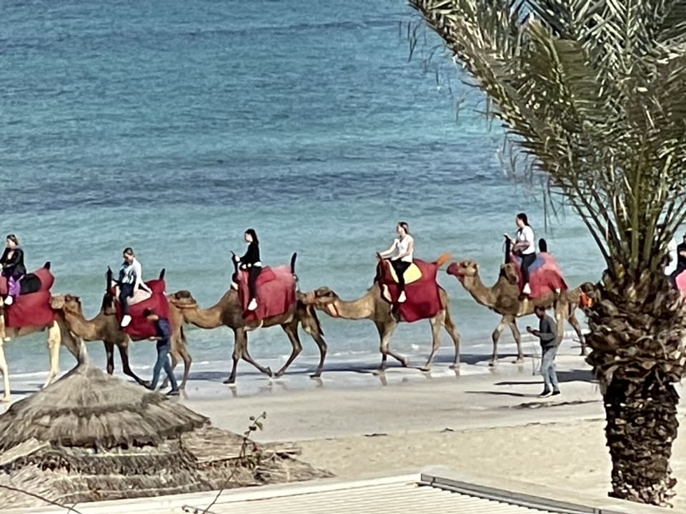 Zimmer Calimera Yati Beach