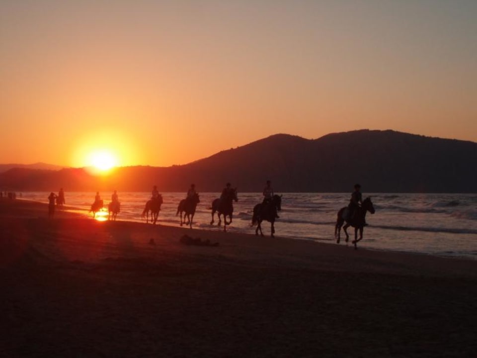 Ein Blick nach Georgioupolis Delfina Tropic Beach