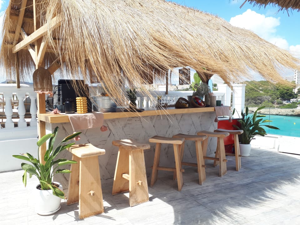 Gastro ICON Valparaiso - Adults Only