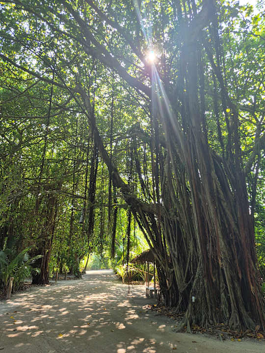 Außenansicht Kuredu Island Resort & Spa
