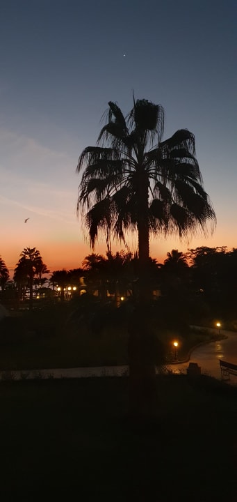 Gartenanlage Brayka Bay Resort