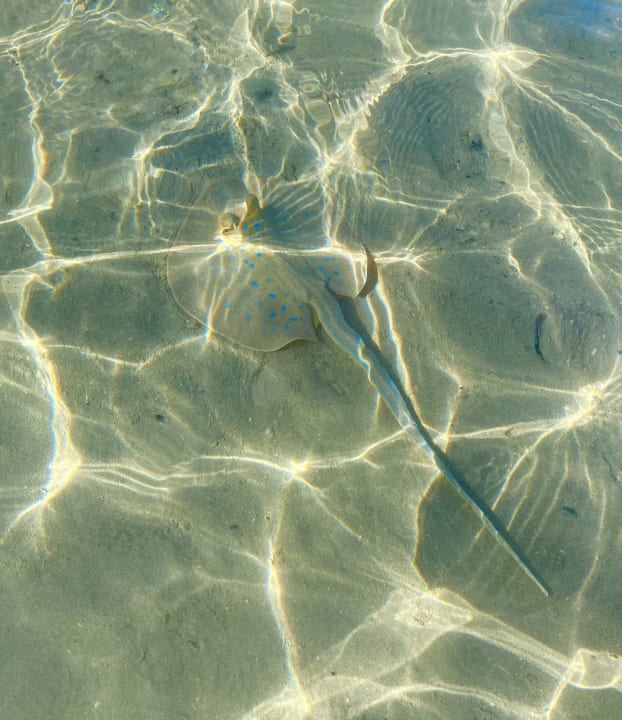 Strand Pickalbatros Villaggio Resort - Portofino