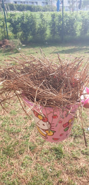 Strand Park Plaza Belvedere Medulin