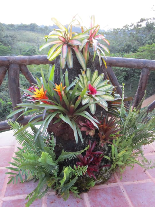 Blumenschmuck Akawanka Lodge