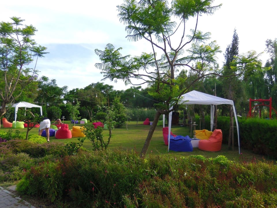 Bei den Wasserpfeifen Crystal Paraiso Aqua Collection