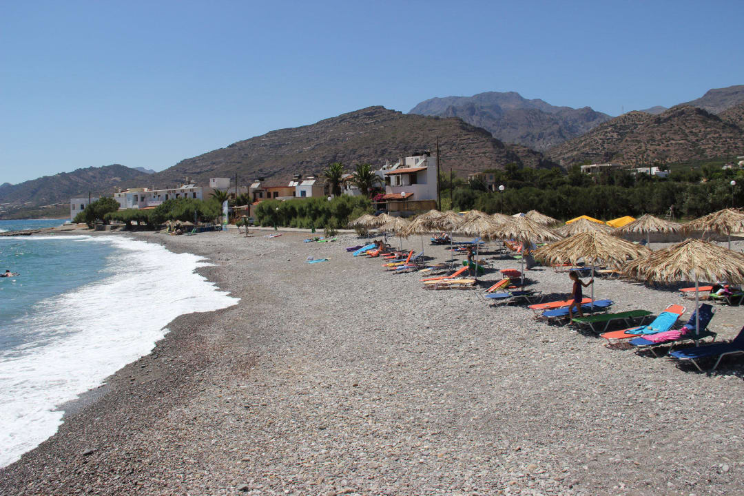Sonnenschutz und Liegen am Hotelstrand Hotel South Coast