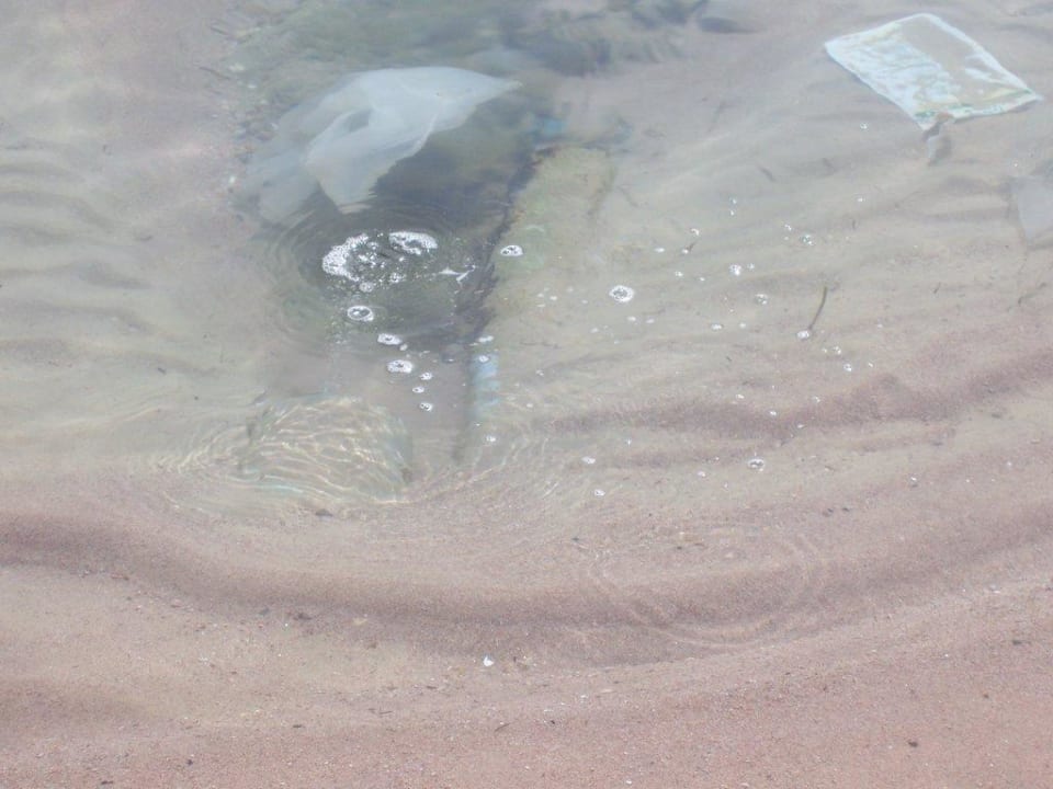 Abwasser? Giftun Azur Resort