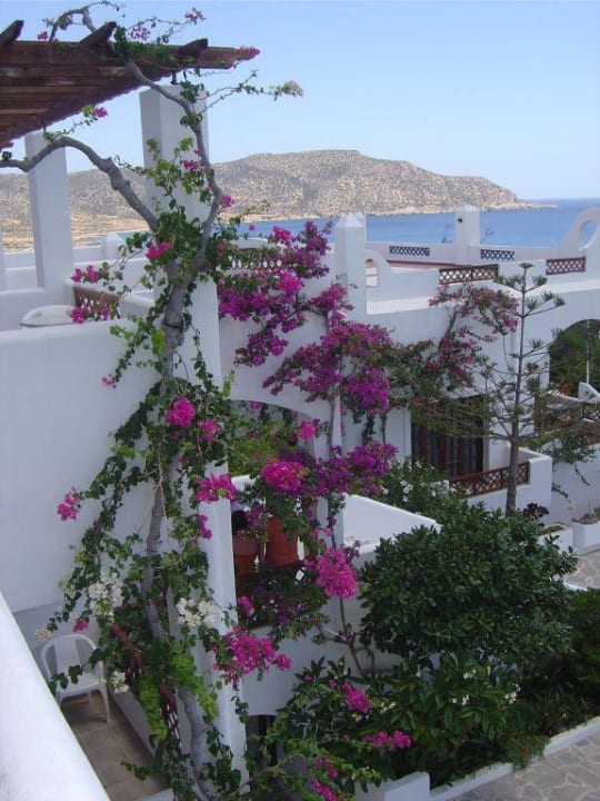 Traumaussicht Amoopi Bay