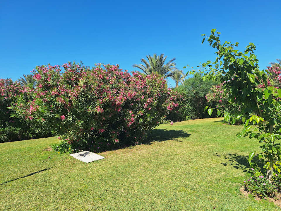 Gartenanlage Iberostar Selection Royal El Mansour