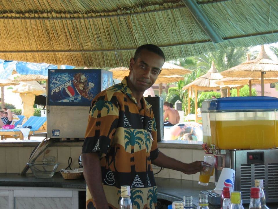 Poolbar Beach Albatros Resort