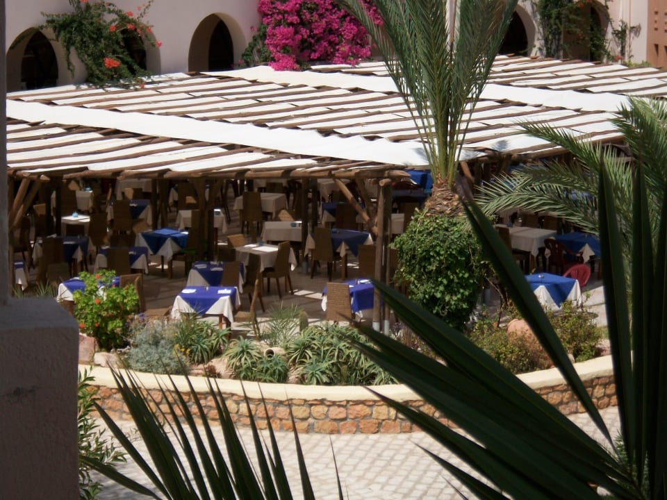 Terrasse Restaurant Vincci Safira Palms