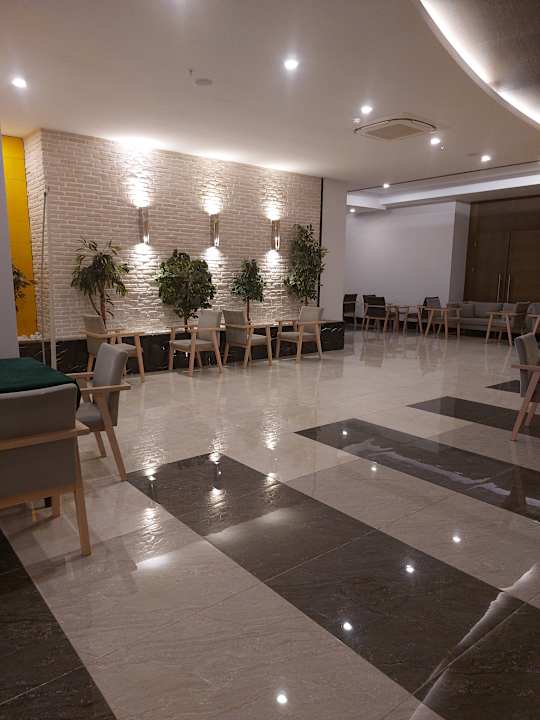 Sonstiges Seashell Vega