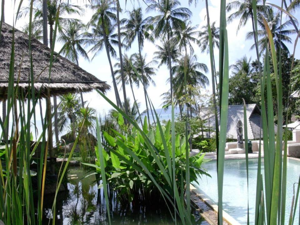 Pool Kamalaya Wellness Sanctuary & Holistic Spa Resort