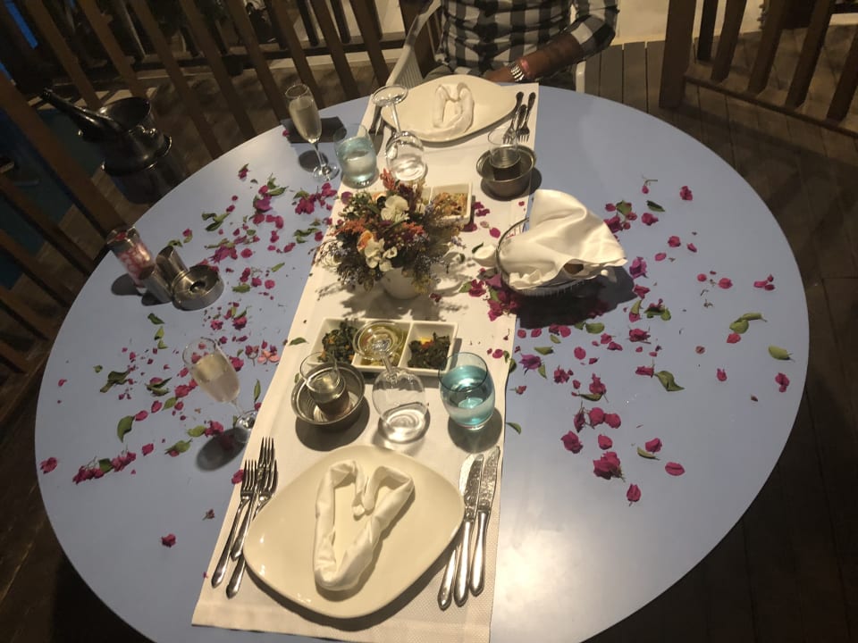 Gastro Adalya Elite Lara