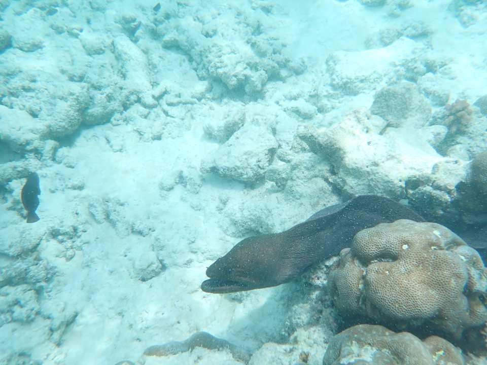 Strand Reethi Faru Resort