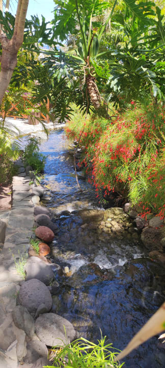 Gartenanlage allsun Hotel Lucana