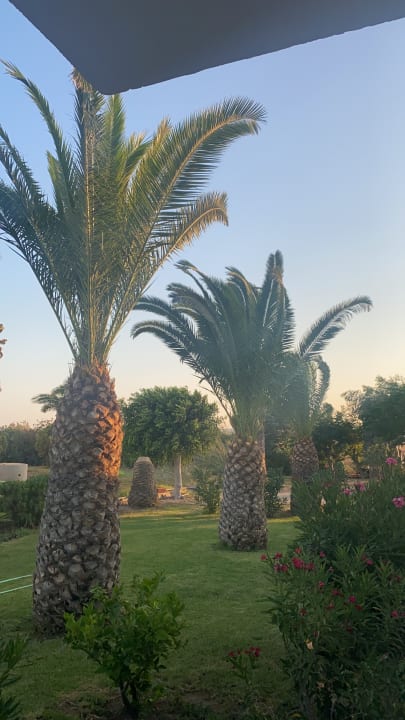 Ausblick Kalimera Mare