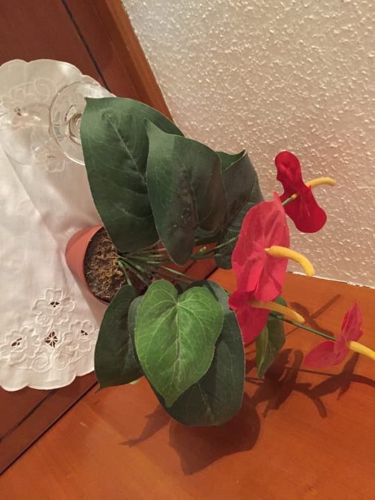 Zimmer Hotel Poseidon