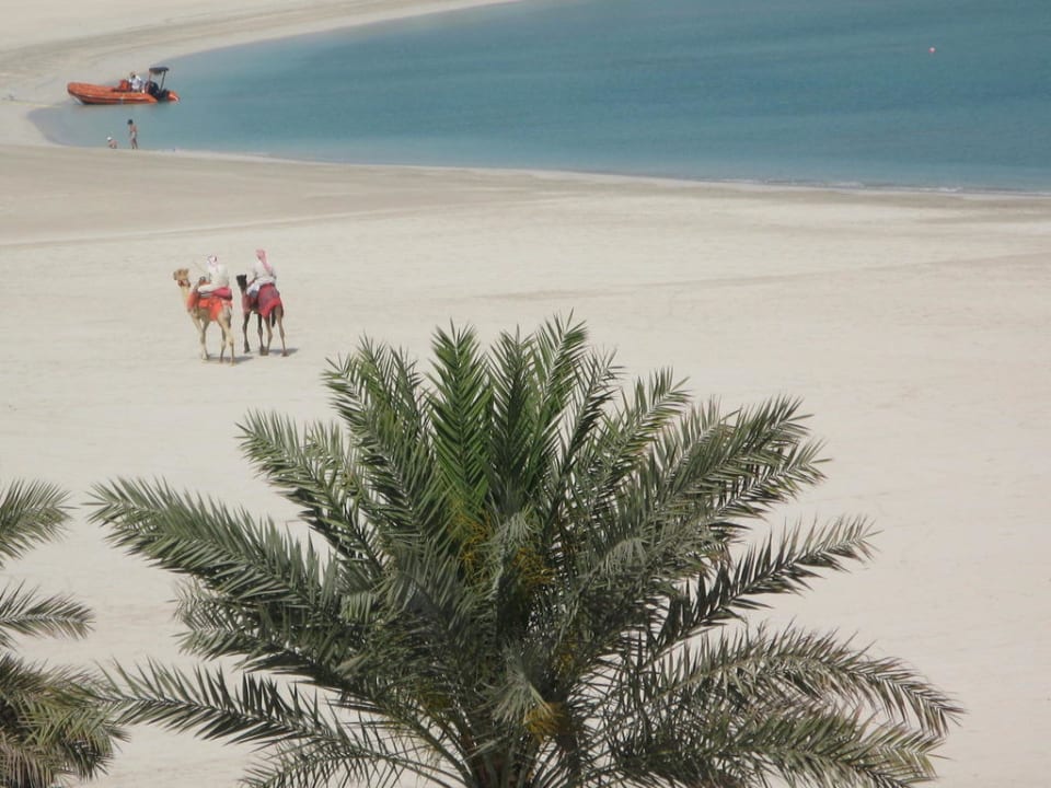 Kamelausritt Emirates Palace Mandarin Oriental