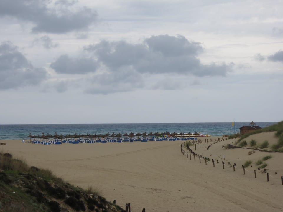 Strandansicht Zafiro Cala Mesquida