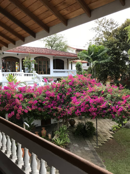 Ausblick Ayubowan Swiss Lanka Bungalow Resort