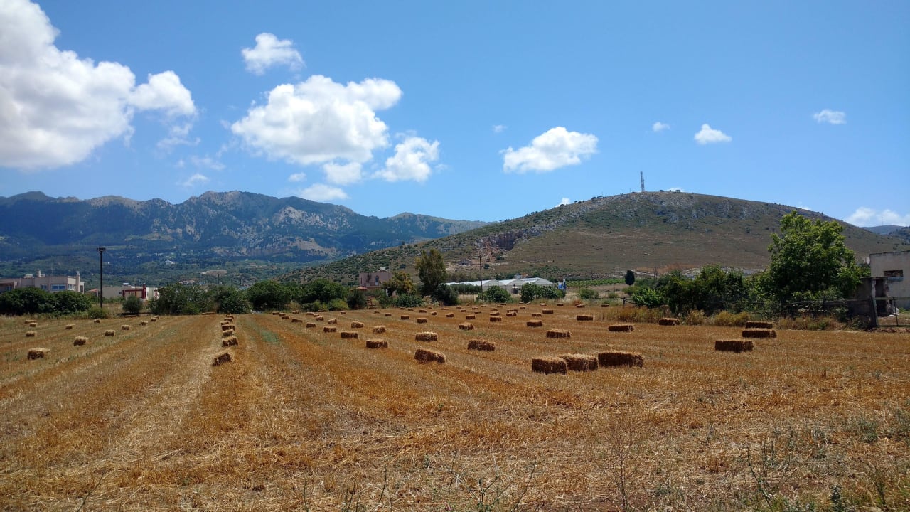 Unmittelbare Umgebung Ilios K Village Resort