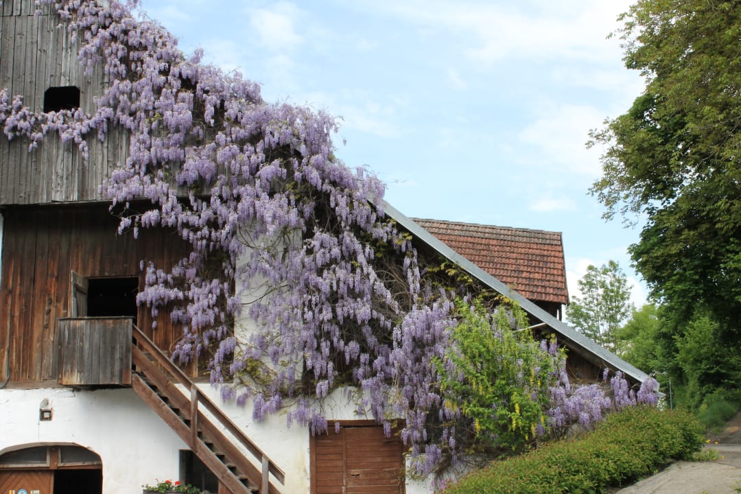 Sonstiges Pension Neuhof