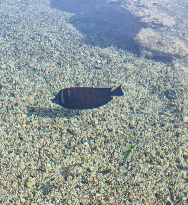 Strand Three Corners Sea Beach Resort