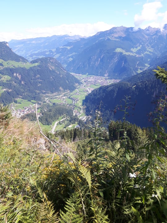 Ausblick Hotel Jörglerhof