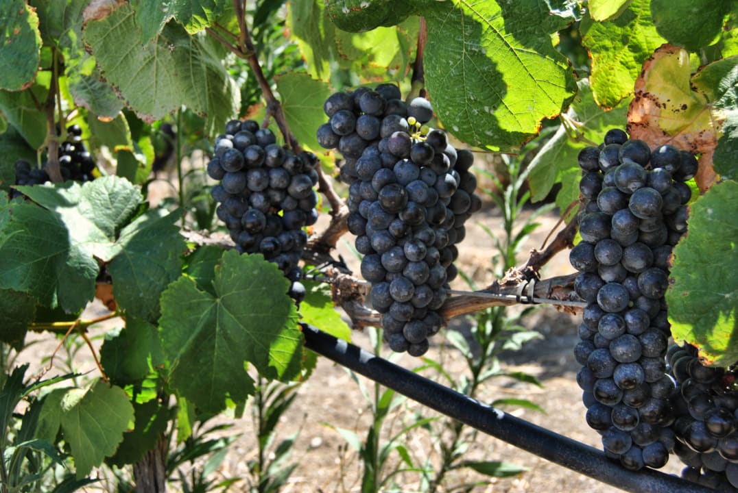 Gartenanlage Hotel Rural El Mondalón