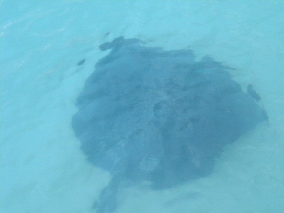 Rochen Angaga Island Resort