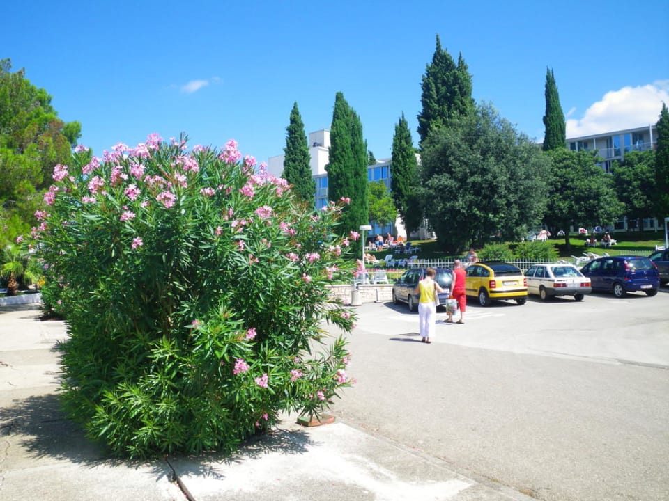 Aussenansciht und Parkmöglichkeit (gegen Gebühr) Hotel Zorna Plava Laguna