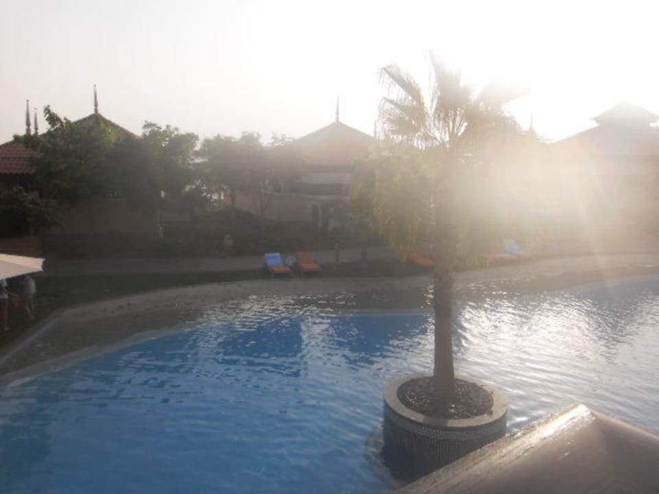 Lagunenpool vom Balkon Anantara The Palm Dubai Resort