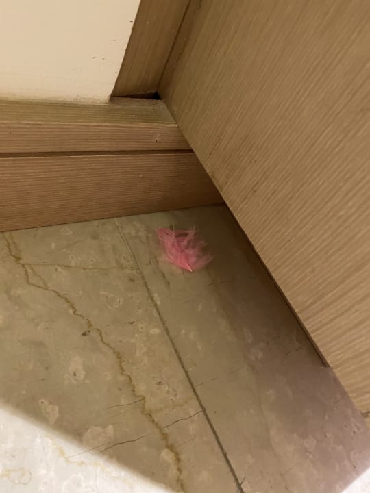 Zimmer InterContinental Fujairah Resort