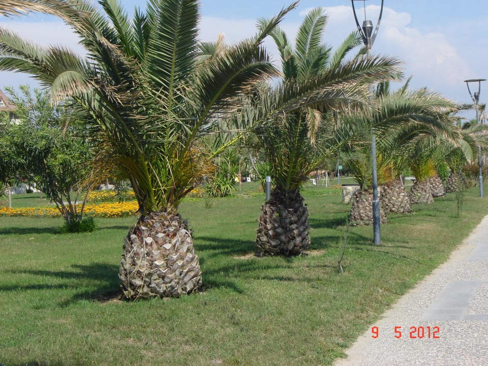 Strandpromenade Hane Family Resort