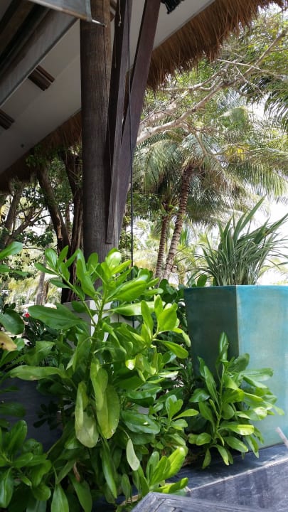 Überall schöne Bepflanzung Cape Panwa Hotel