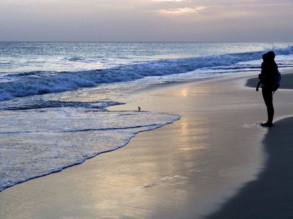 Vogel Hotel Riu Touareg